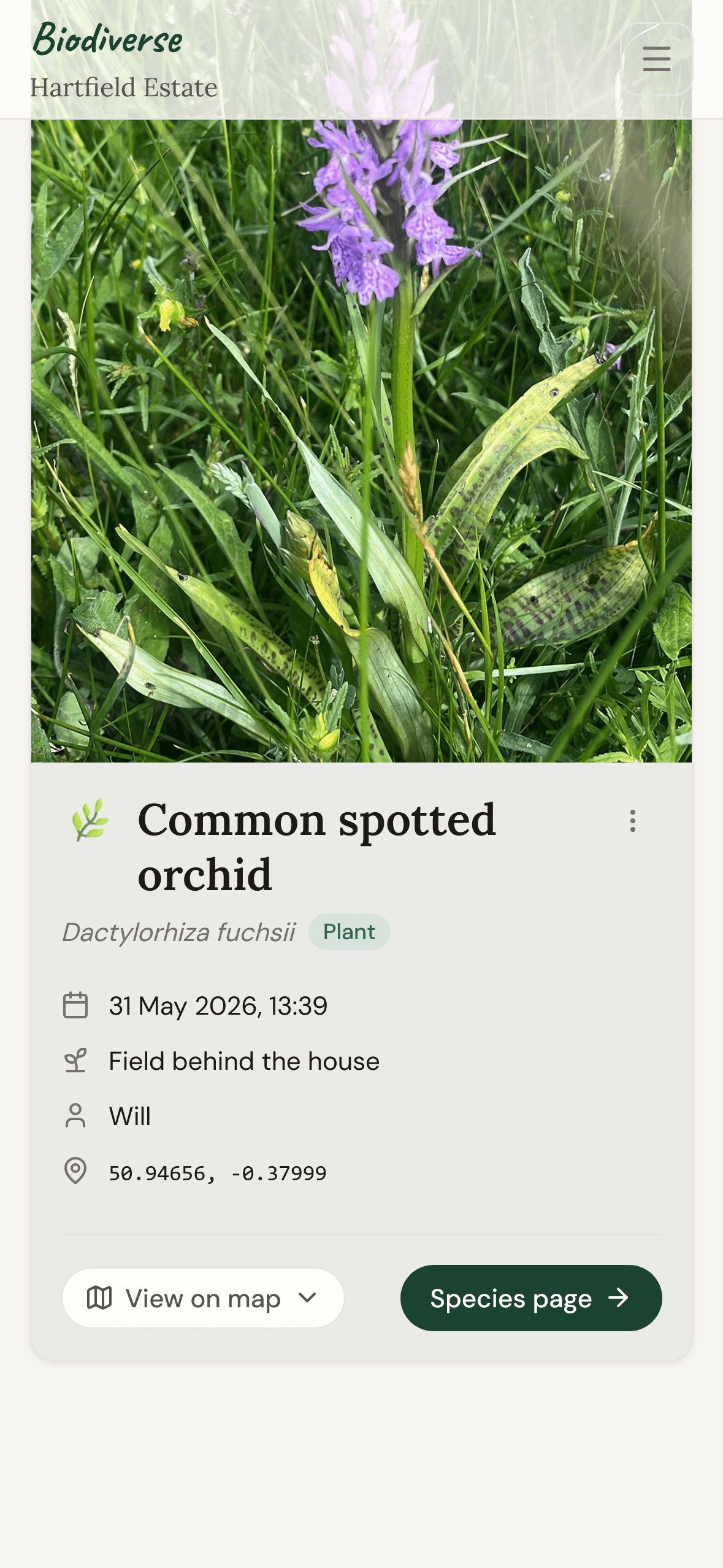 A recorded sighting on a phone: a common spotted orchid with its photo, field, recorder, and date.